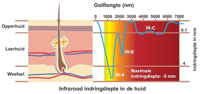 project ME infrarood indringdiepte in de huid